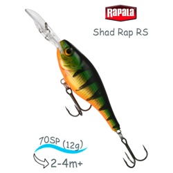 SRRS07 P Shad Rap RS - фото