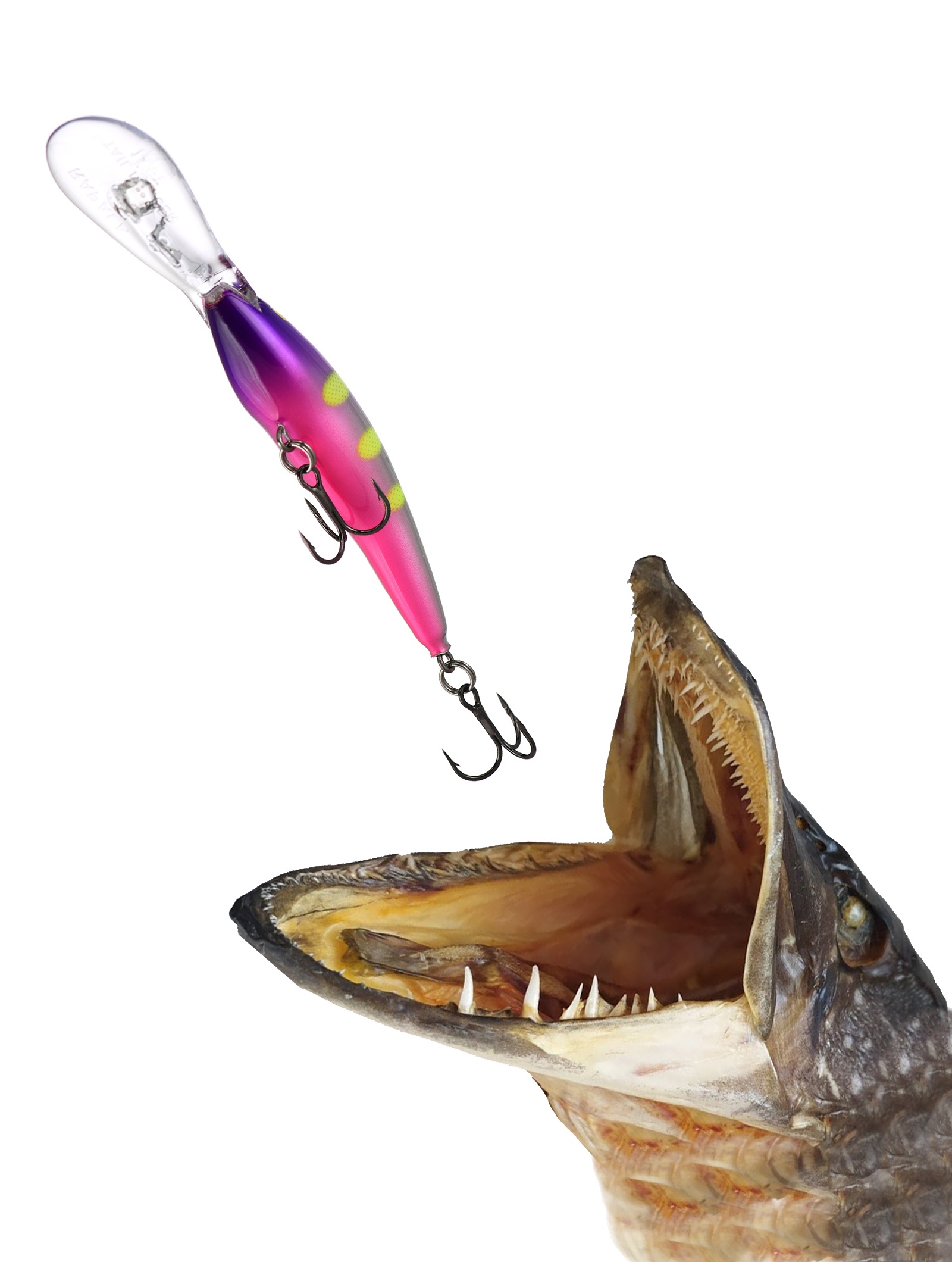 TDD11 VDH Tail Dancer Deep - фото2