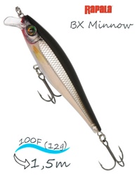BXM10-S BX Minnow - фото