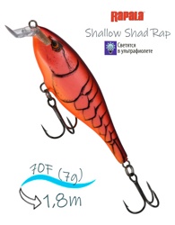 SSR07 DMN Shallow Shad Rap - фото