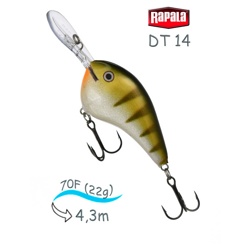 DT14 YP Dives-To - фото