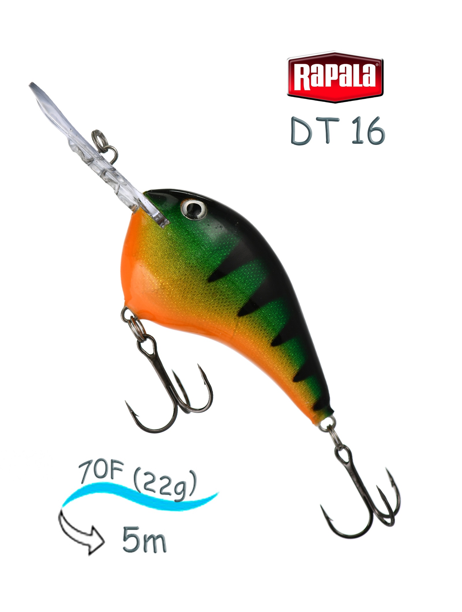 DT16 P Dives-To