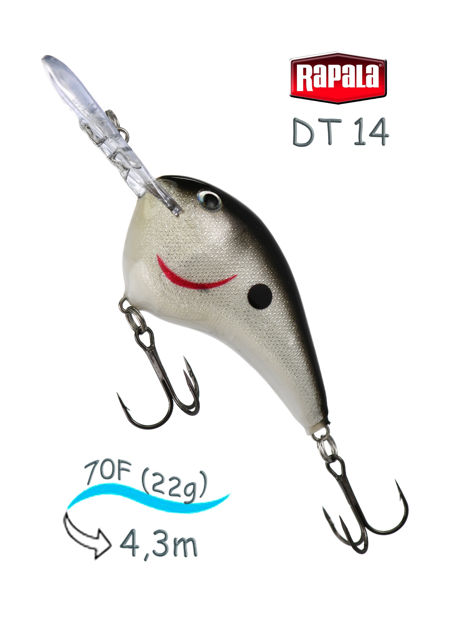 DT14 S Dives-To