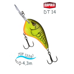 DT14 CRTBC Dives-To - фото