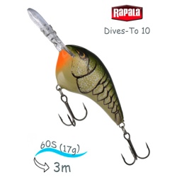 DT10 OGCW Dives-To - фото