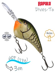 DT10 OGCW Dives-To - фото