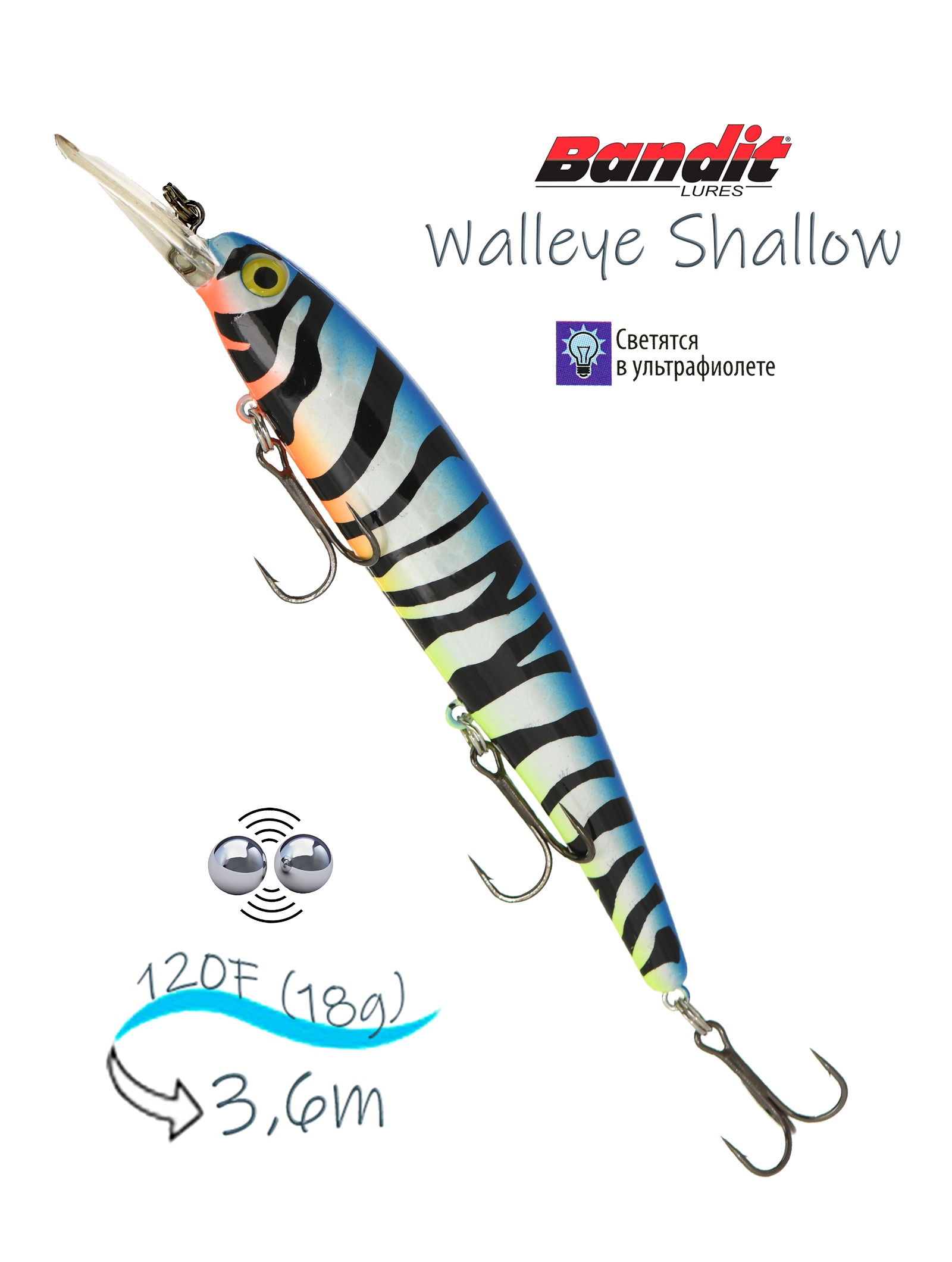 BDTWBS1 OL102 Walleye Shallow