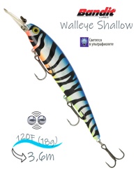 BDTWBS1 OL102 Walleye Shallow - фото