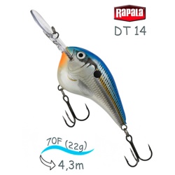 DT14 BSD Dives-To - фото