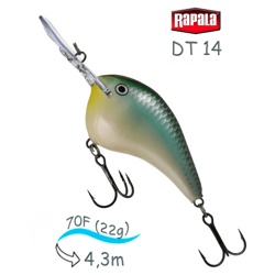 DT14 BBH Dives-To - фото