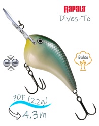 DT14 BBH Dives-To - фото
