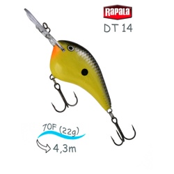 DT14 OLSL Dives-To - фото