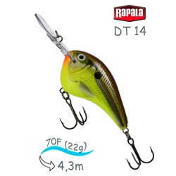 DT14 HM Dives-To - фото