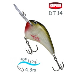 DT14 BOS Dives-To - фото