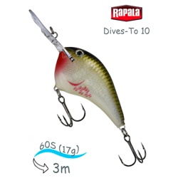 DT10 BOS Dives-To - фото