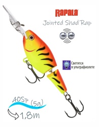 JSR04 HT Jointed Shad Rap - фото