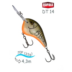 DT14 RTBC Dives-To - фото