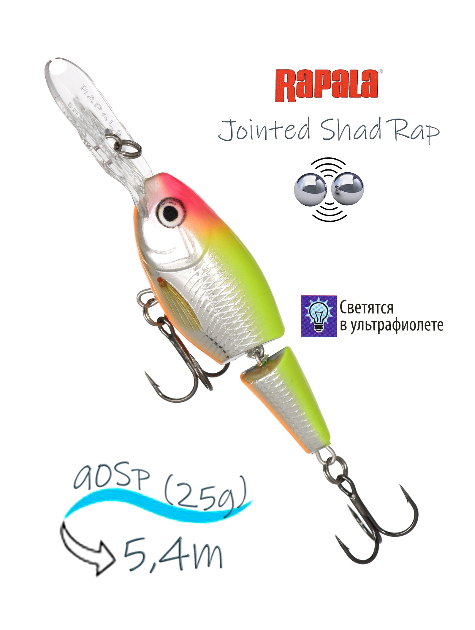 JSR09 CLS Jointed Shad Rap