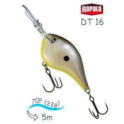 DT16 DSSD Dives-To - фото