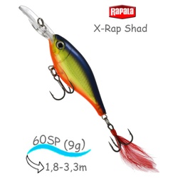 XRS06 HS X-Rap Shad - фото