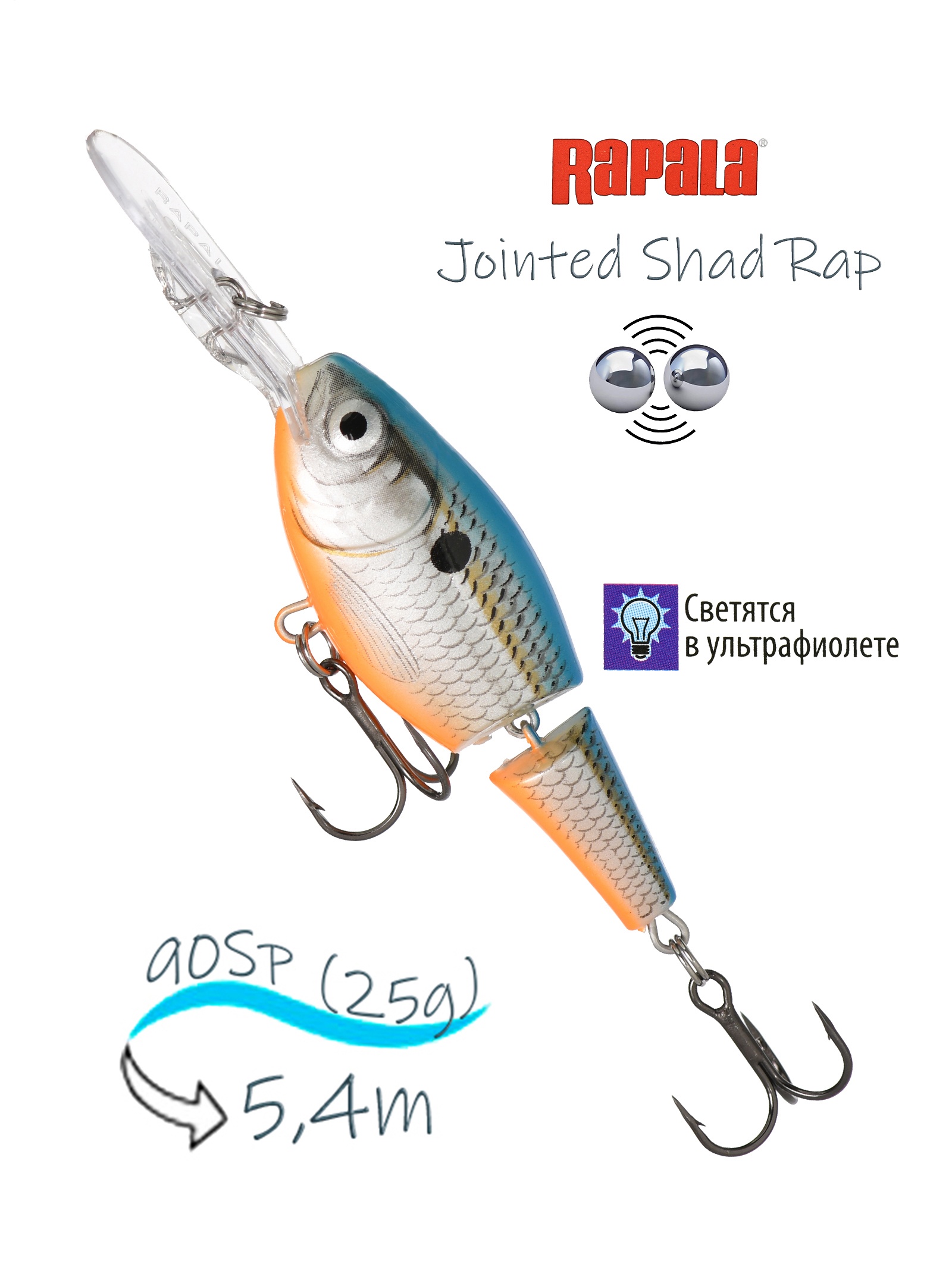 JSR09 BSD Jointed Shad Rap