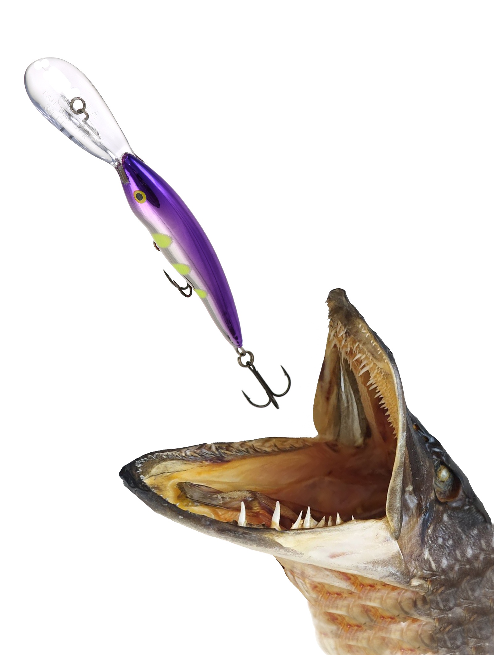 TDD09-VDH Tail Dancer Deep - фото2