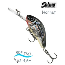 QHT047 Hornet HT-050-FL-HGS - фото