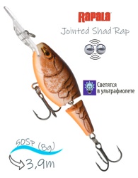 JSR05 BCW Jointed Shad Rap - фото