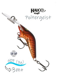 Poltergeist 50 H61 - фото