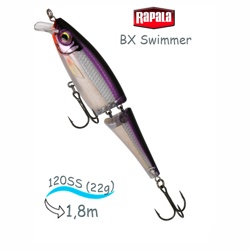 BXS12 PDS Swimmer BX - фото