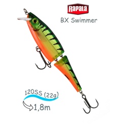 BXS12 FT Swimmer BX - фото