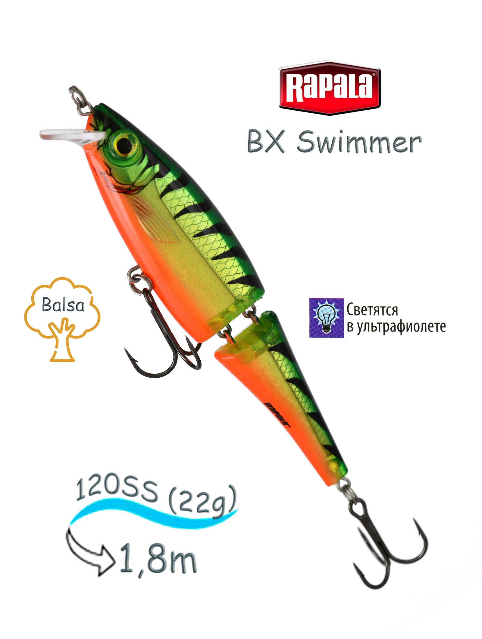 BXS12 FT Swimmer BX - фото