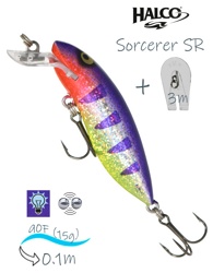 Sorcerer  90 SR R24 - фото