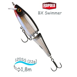 BXS12 S Swimmer BX - фото