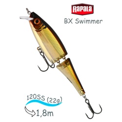 BXS12 GSH Swimmer BX - фото