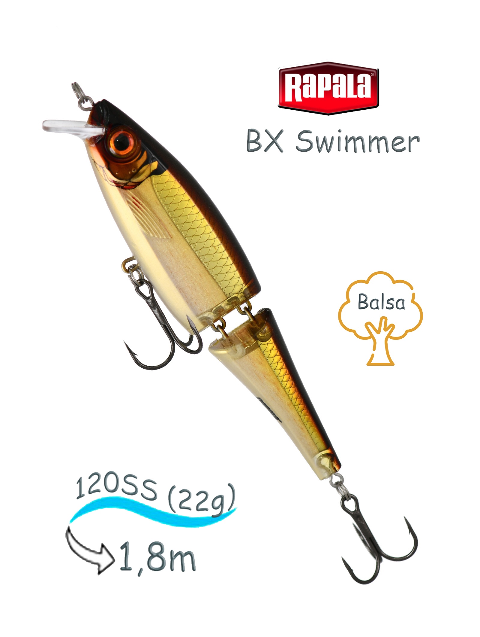 BXS12 GSH Swimmer BX - фото