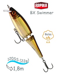 BXS12 GSH Swimmer BX - фото