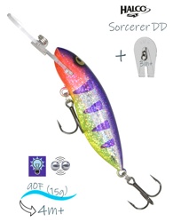 Sorcerer  90 DD R24 - фото