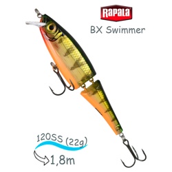 BXS12 P Swimmer BX - фото