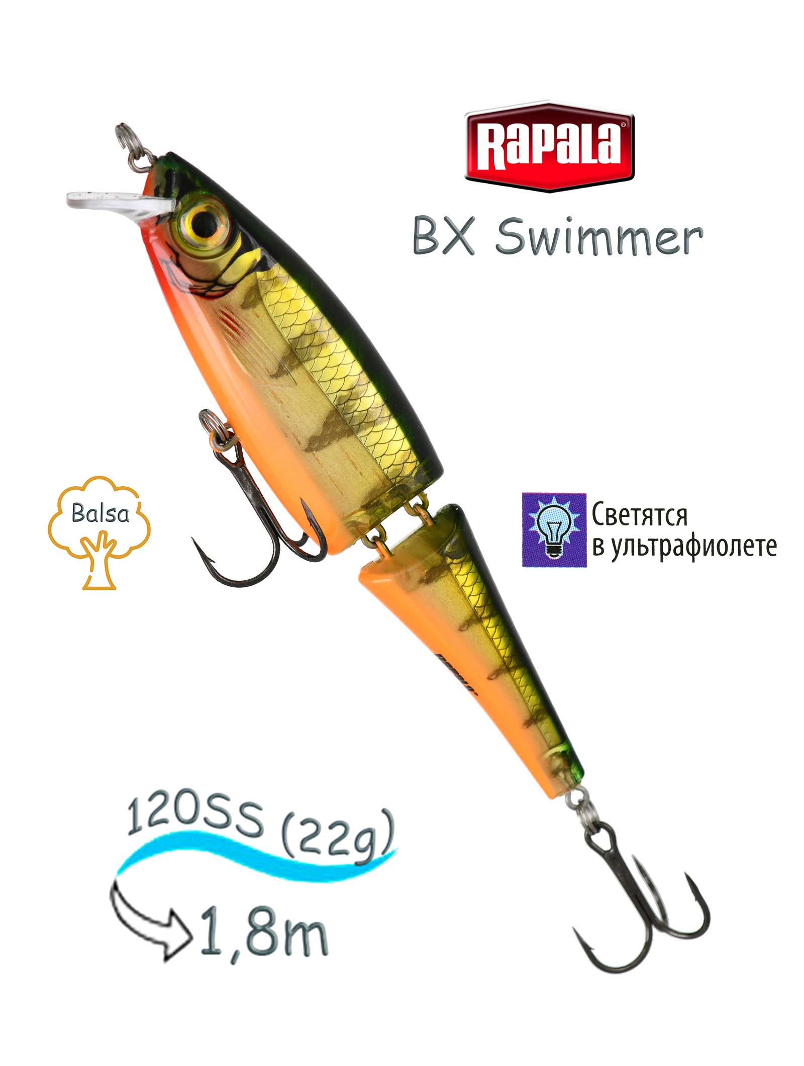 BXS12 P Swimmer BX - фото