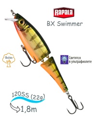 BXS12 P Swimmer BX - фото