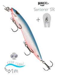 Sorcerer 125 SR-Russia 08 - фото