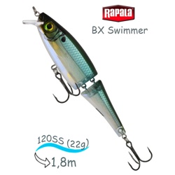 BXS12 BBH Swimmer BX - фото