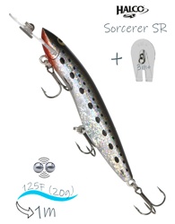 Sorcerer 125 SR-Russia 98 - фото