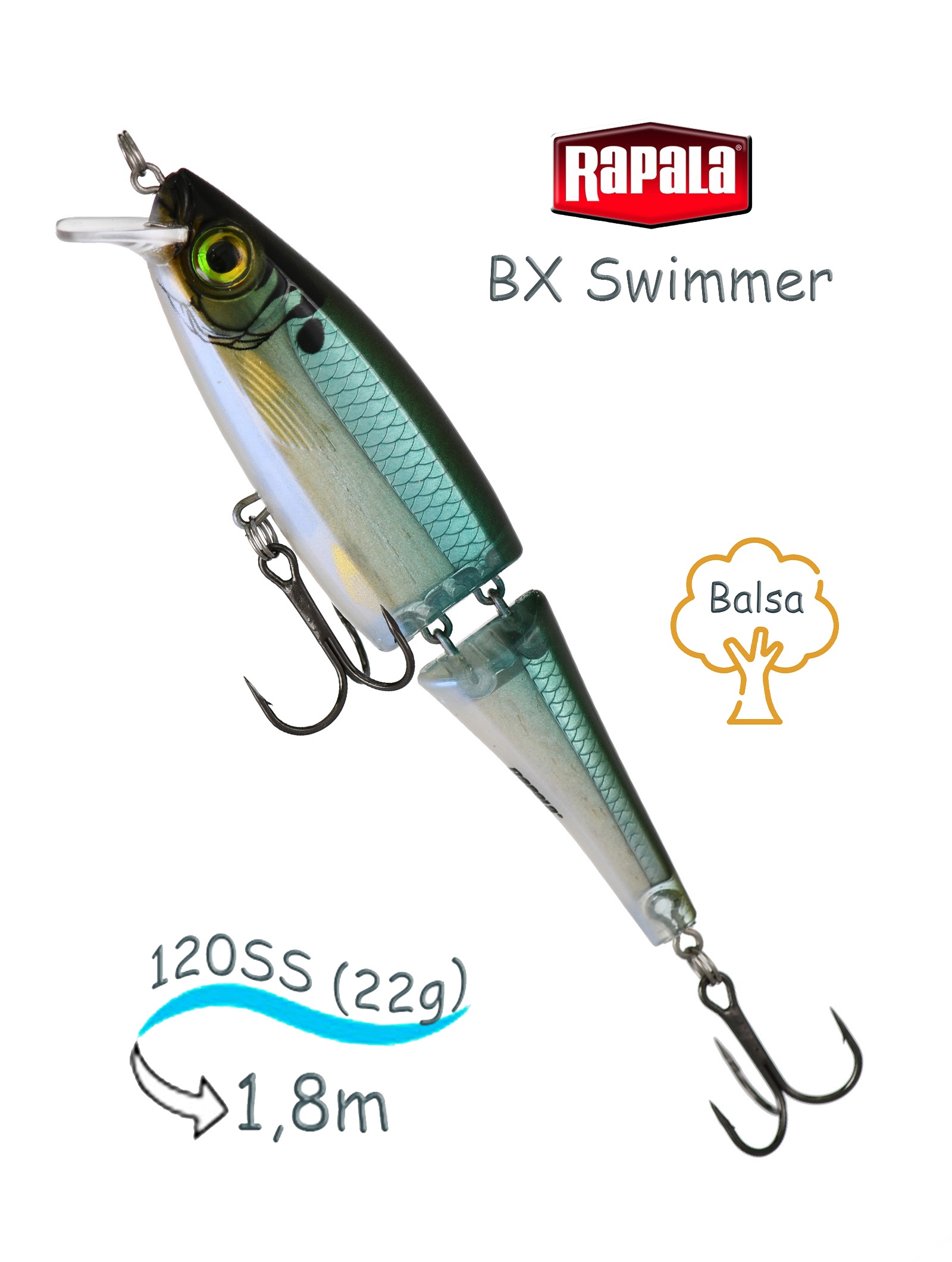 BXS12 BBH Swimmer BX - фото