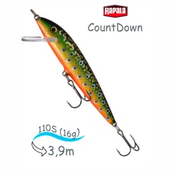 CD11 BTR CountDown - фото