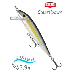 CD11 ALB CountDown - фото