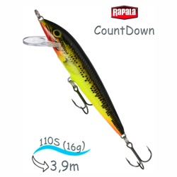 CD11 FMN CountDown - фото