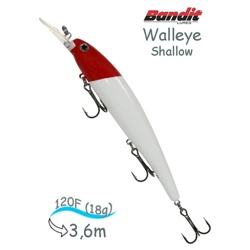 BDTWBS1 D81 Walleye Shallow - фото