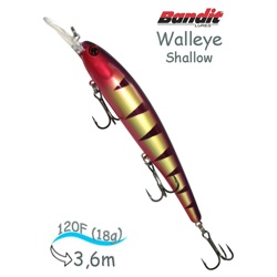 BDTWBS1 B13 Walleye Shallow - фото